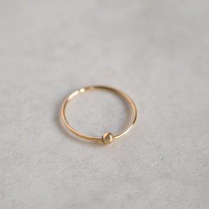 Gold Filled Spinning Fidget Ring